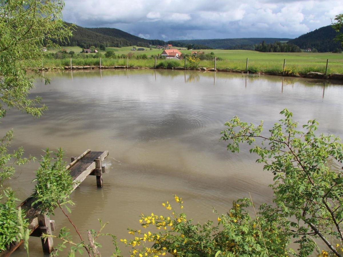 Ferienhof Kienbronnerhof Schiltach Εξωτερικό φωτογραφία